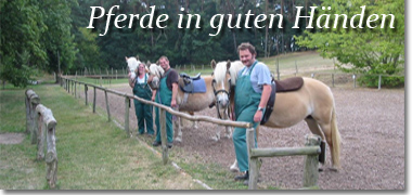 Die Ferienwohnungen