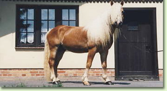 Küche